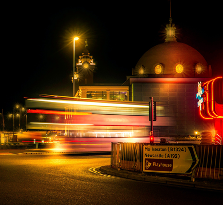 上海品茶网：Get up close and personal with wild animals