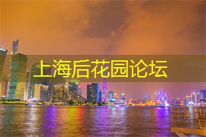 上海新茶工作室：点亮你的味蕾，感受茶的独特魅力