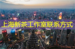 爱上海：你还可以看到许多自由活动的鸟类