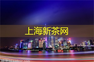 上海工作室养眼风景大公开！给你带来惊喜！