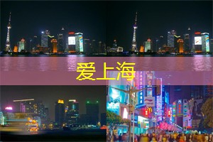 高颜值爆表！体验上海后花园里的50个绝美花海