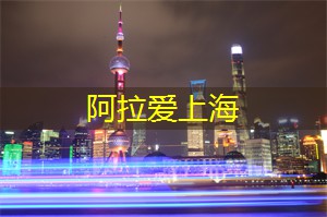 上海新茶工作室：上海新茶工作室：探寻城市中隐藏的品茶文化宝藏！